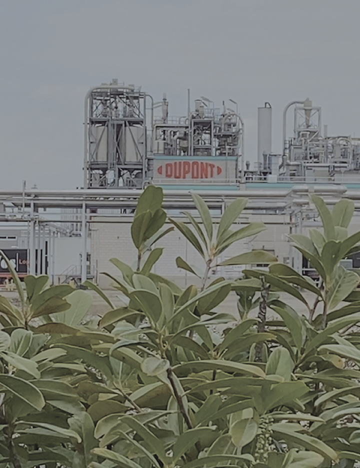 bushes in front of a DuPont manufacturing plant